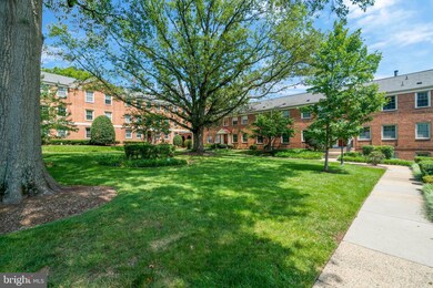 2505 Arlington Blvd unit 102, Arlington, VA 22201 - photo 3
