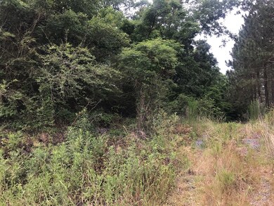 000 Brady Rd, Cordele, GA 31015 - photo 7