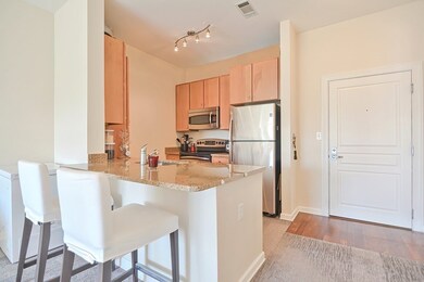 4 Repton Cir unit 4409, Watertown, MA 02472 - photo 3