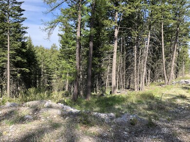 Buckaroo Trail Building Site