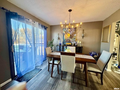 1805 85th Ave W, Rock Island, IL 61201 - photo 4