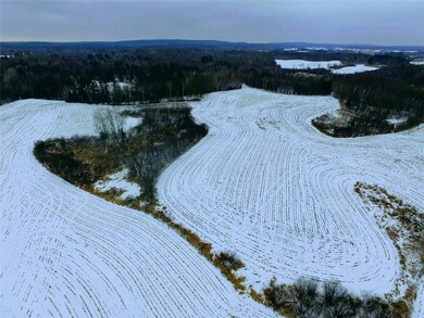 0 Olesiak Rd unit 1570427, Strickland, WI 54895 - photo 4