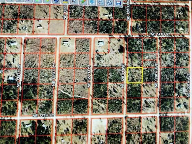 00 NE 128th Ave, Williston, FL 32696 - photo 3