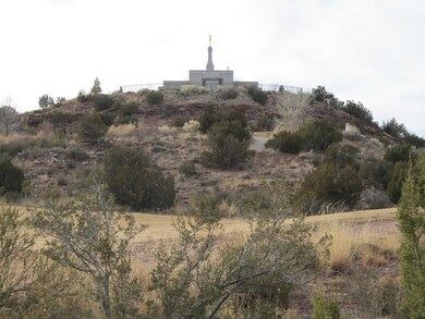 446 S Frontier Pkwy, Snowflake, AZ 85937 - photo 6