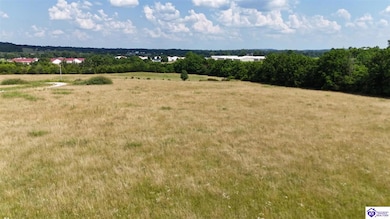 Tract 3 Troutman Ln, Clarkson, KY 42726 - photo 5