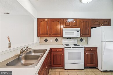 5 Franklin Square, Berlin, MD 21811 - photo 5