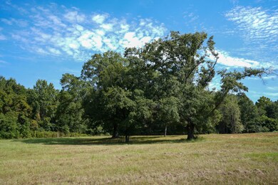 0 Cane Creek Rd unit 25620255, Flora, MS 39071 - photo 7