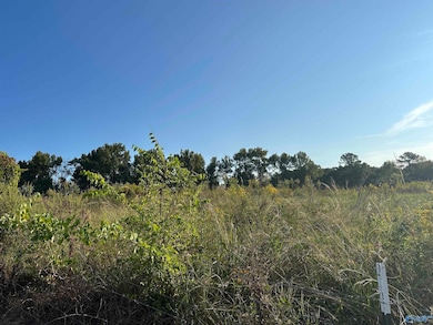 2 acres +/- Highway 231, Laceys Spring, AL 35754 - photo 3