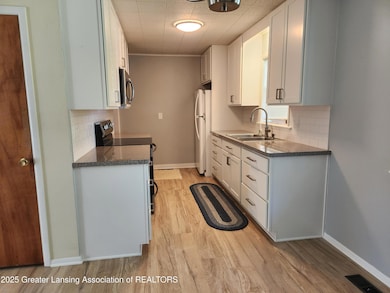 3316 W Willow St, Lansing, MI 48917 - photo 7