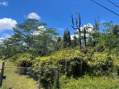 0 13th Ave unit 723514, Hawaiian Paradise Park, HI 96749 - photo 4