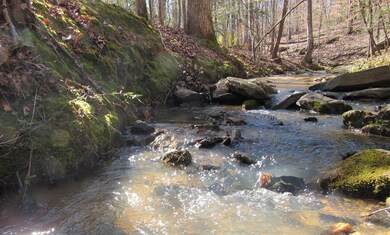 36 Southview Dr, Iva, SC 29655 - photo 4