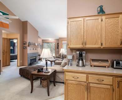 3233 Northdale Ln NW, Coon Rapids, MN 55448 - photo 5