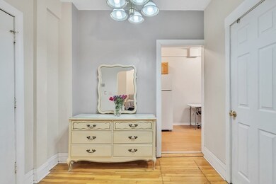 141 Englewood Ave unit 1, Brighton, MA 02135 - photo 7