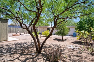 Fontana - An Abundance of Fruit Trees