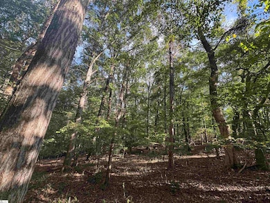 499 Acker Rd, Anderson, SC 29624 - photo 4