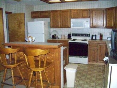 423 Diana Dr, Alamo, TX 78516 - photo 7