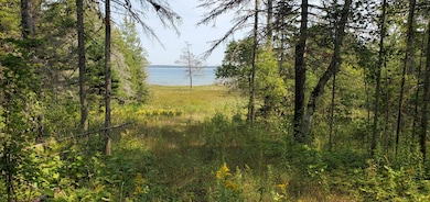 1979 S Point Brulee, Hessel, MI 49745 - photo 2