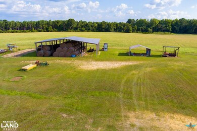 867 S County Road 20, Ozark, AL 36360 - photo 7