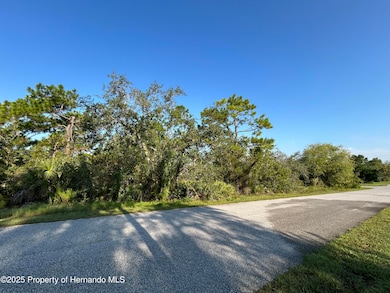 0 Nuzum Rd unit 2255389, North Weeki Wachee, FL 34613 - photo 5