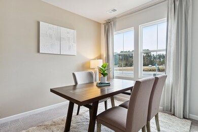 1236 Blueback Herring Way unit 135, Conway, SC 29526 - photo 3