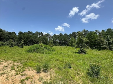 315 Gulde Rd, Trout, LA 71371 - photo 3