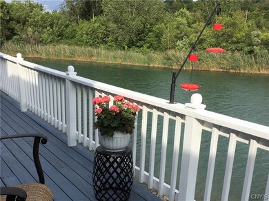 Springtime view from deck.