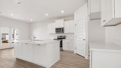 163 Holley Grove Ln, Santa Rosa Beach, FL 32459 - photo 5