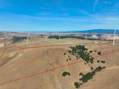 1 Hoctor Rd, Goldendale, WA 98620 - photo 5