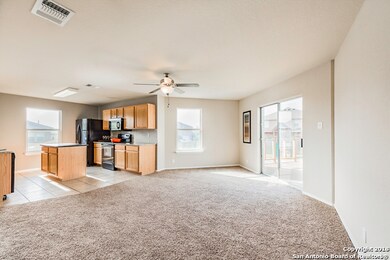 11004 Dublin Briar, San Antonio, TX 78254 - photo 6