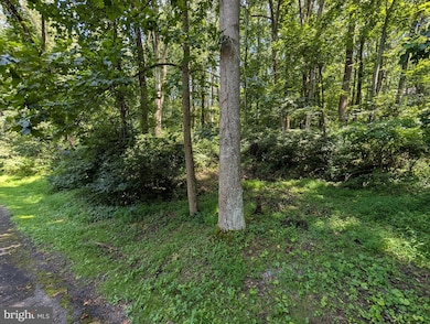 Lots 83-84 Oriole Ct, Front Royal, VA 22630 - photo 4