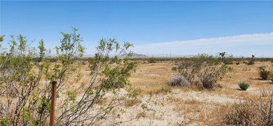 0 Vac Pb Hwy Vic 208th Ste unit CV23074151, Llano, CA 93544 - photo 6
