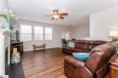 16 Blossom Park Ct, Mauldin, SC 29662 - photo 7