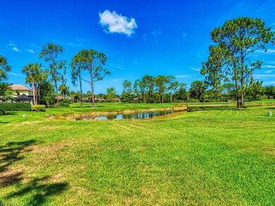 view from the back yard overlooking the pond and g