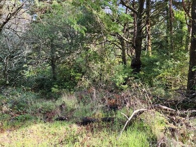 0 Kreiger Ln unit 122 24581015, Port Orford, OR 97465 - photo 4