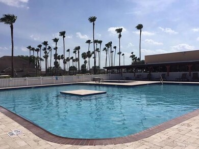 233 Rebecca Dr, Alamo, TX 78516 - photo 4