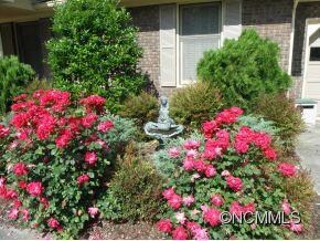 Beautifully Landscped Yard