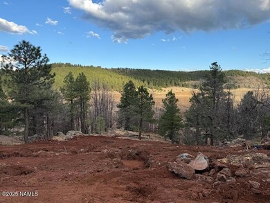 4965 W Braided Rein, Flagstaff, AZ 86005 - photo 6