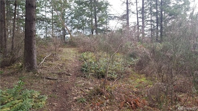 18412 Rampart Ct SE, Yelm, WA 98597 - photo 2