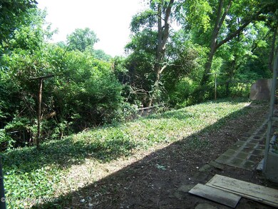 Treed back yard...