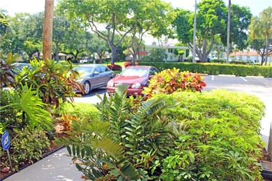 Lovely Tropical Plantings!