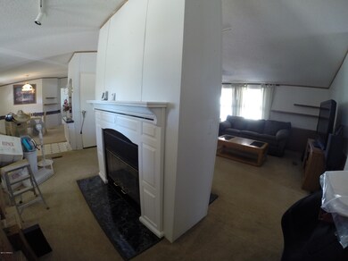 2 Way Fireplace