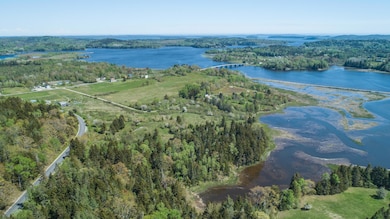 2019 June 7 East Machias 7 acre lot-8