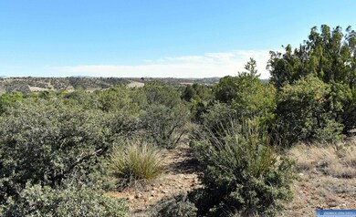 Lot 13 Hereford Dr, Silver City, NM 88061 - photo 4