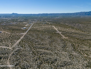 2435 Eclipse Rd unit Lot 16, Las Cruces, NM 88012 - photo 2