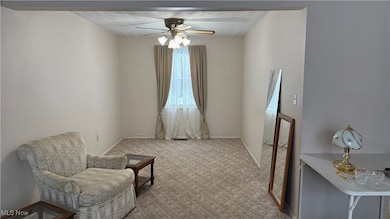 392 Earl Dr NW, Warren, OH 44483 - photo 3