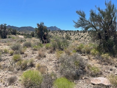 View of mountain feature