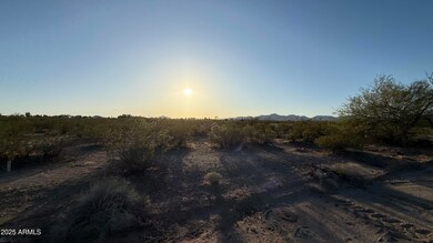 IMG_1337