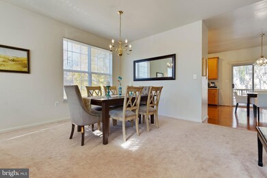 46750 Southern Oaks Terrace, Sterling, VA 20164 - photo 4