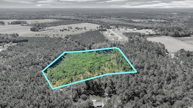 TBD Not Specified, Conway, SC 29526 - photo 2