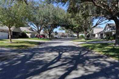Tree Lined Street